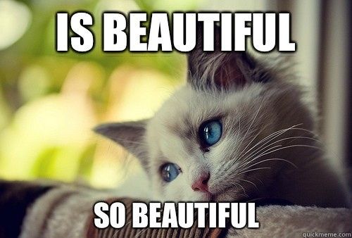 So that BAM post - Emmy changed her avatar, she's not a cat.
