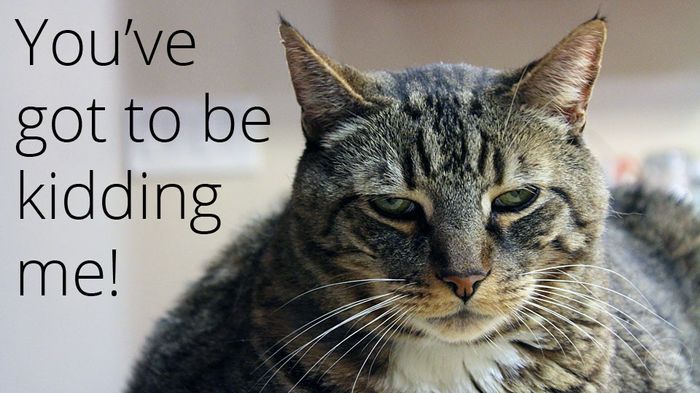 We are not your *bleeping* assistants!