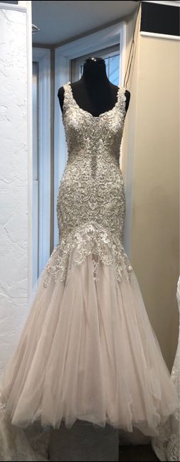 Dress help! Mermaid with tulle 6