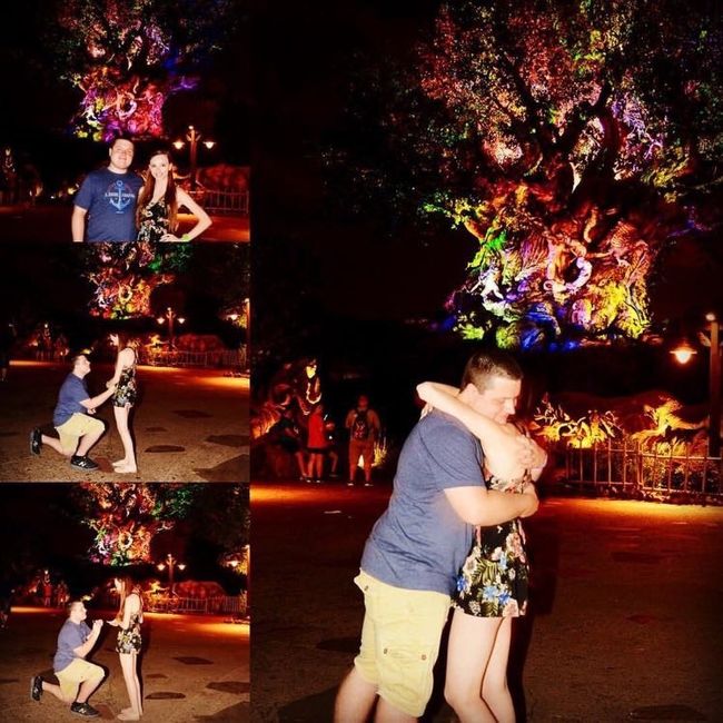 How was your proposal?