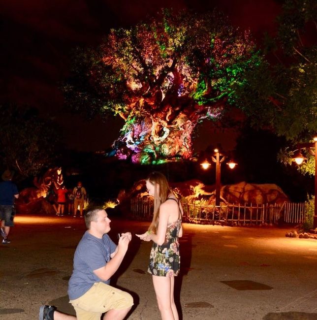 Proposal photos?!