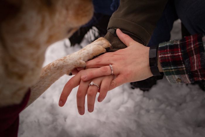 Show me your engagement photos! - 1