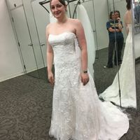 My Dress Came In!!! - Please share yours 😆 - 1