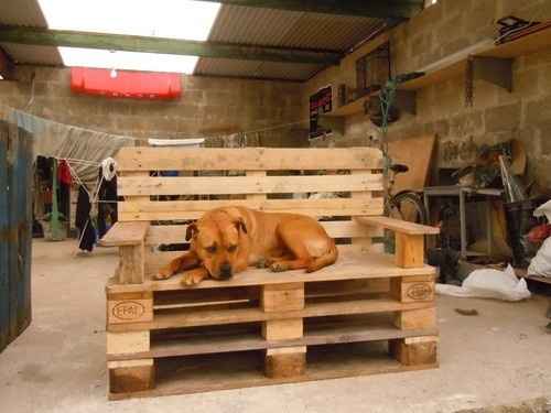 What have I gotten myself into?!