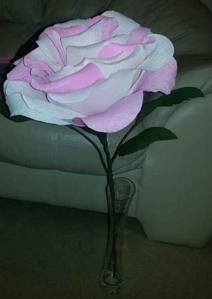 Wasted Money and Time!