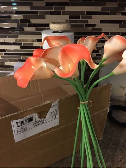 Thoughts on these flowers?