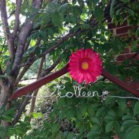 My DIY bridal hanger