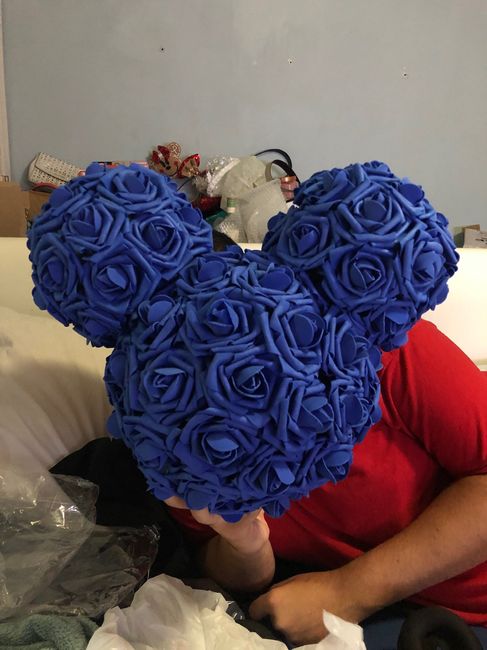 disney Non-pro bam 24