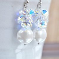 Which Earrings?