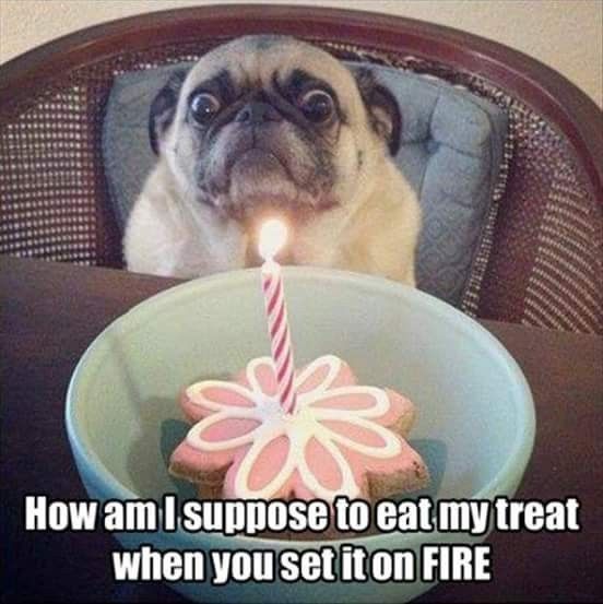 Spread some Happy!!!