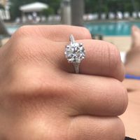 Engaged in Miami