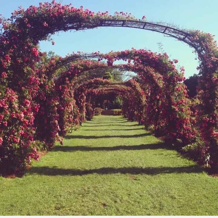 What does your ceremony aisle look like?