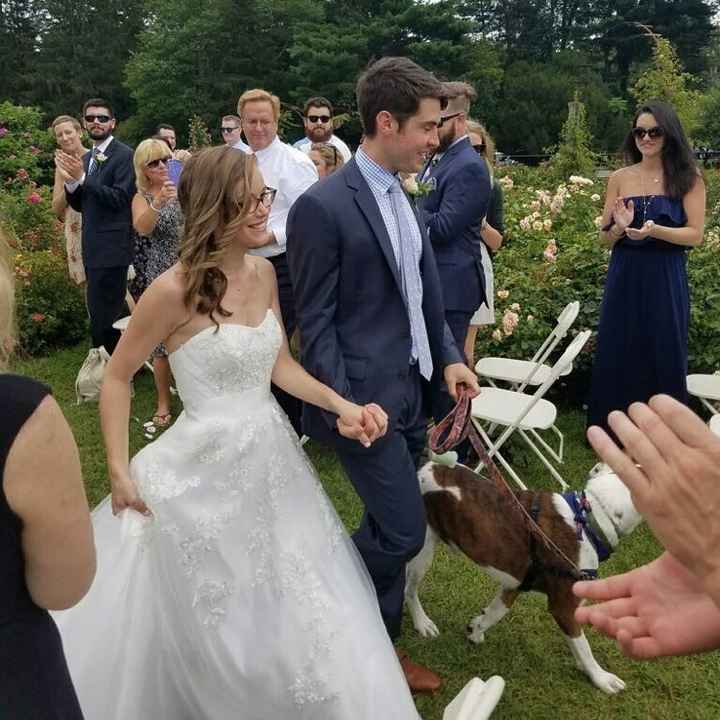Non pro bam! I'm married!