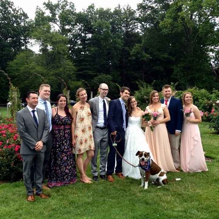 Any dogs in weddings.......can I see the photos.