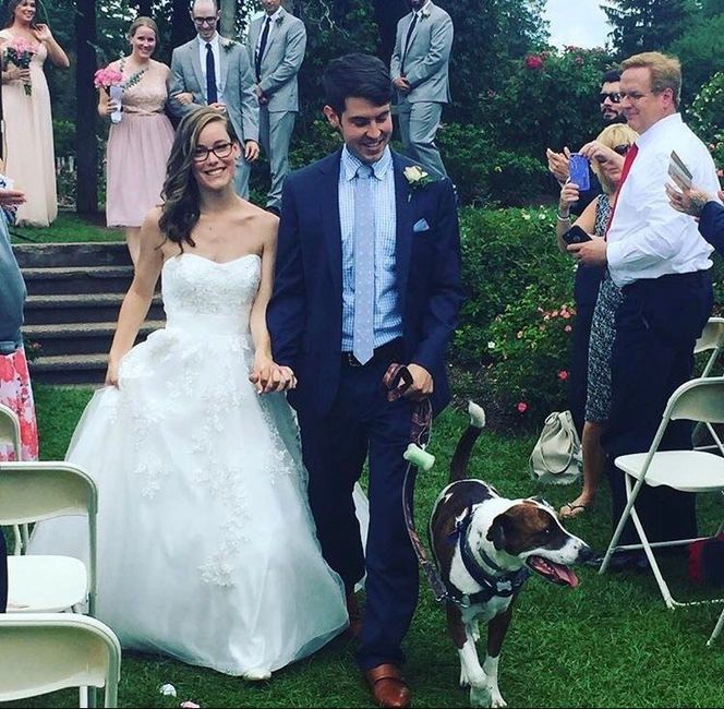Any dogs in weddings.......can I see the photos.