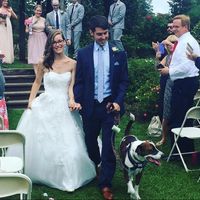 Any dogs in weddings.......can I see the photos.