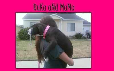 NWR hoping to get a new pup