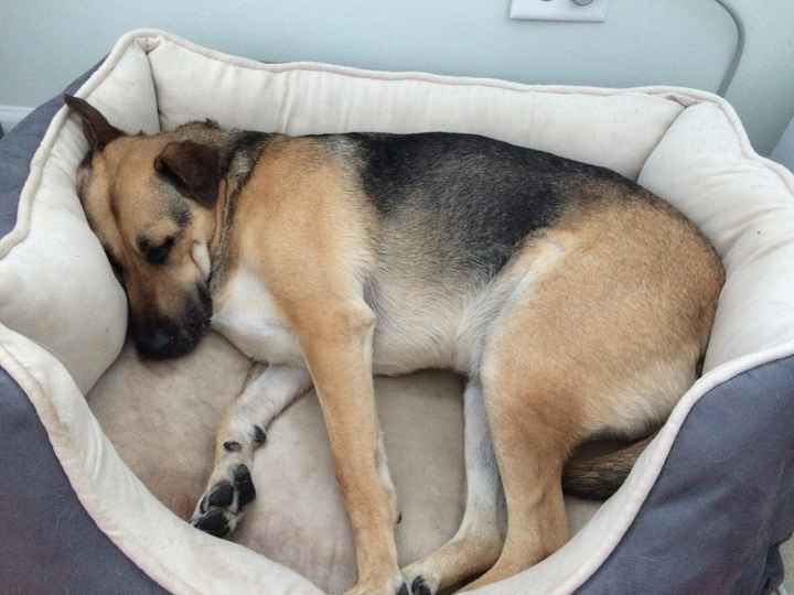 Dear Remi and Killian: