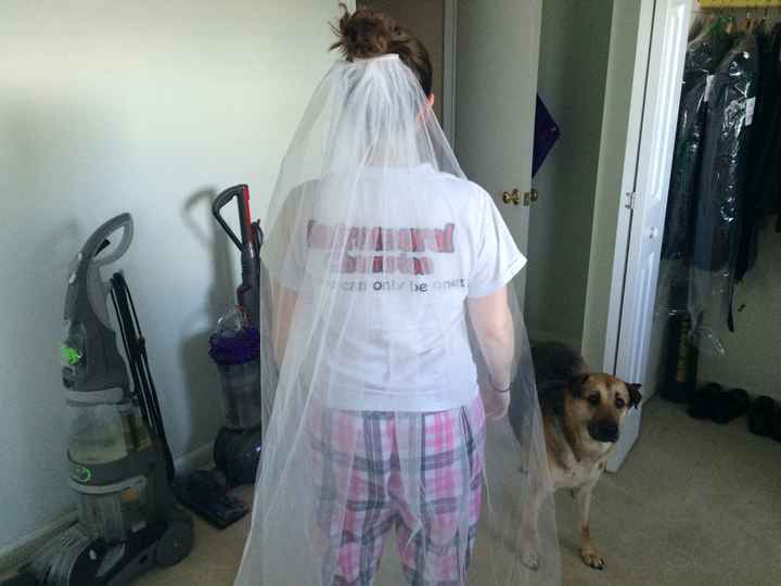 Got my $6 veil in from China