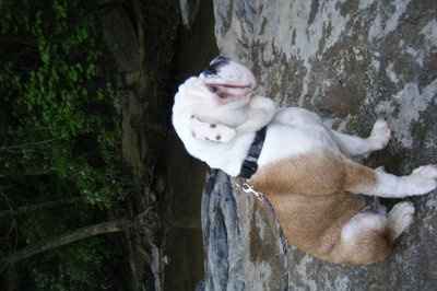 *NWR* Show me your pets/animals! *PICS*