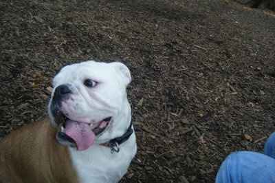 NWR: Show off your fur baby!