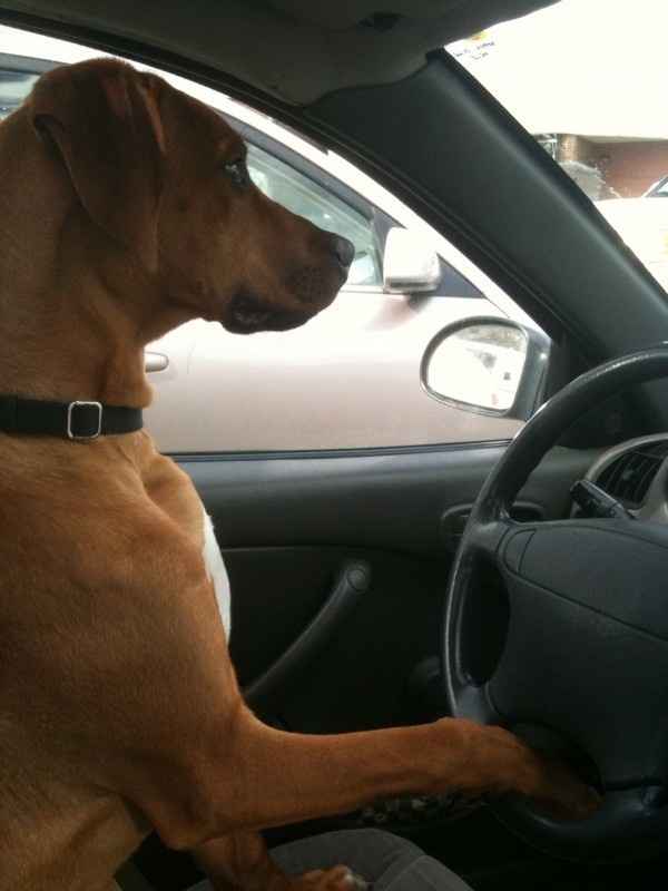 Show mee yourrr…..