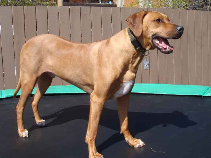 Show mee yourrr…..