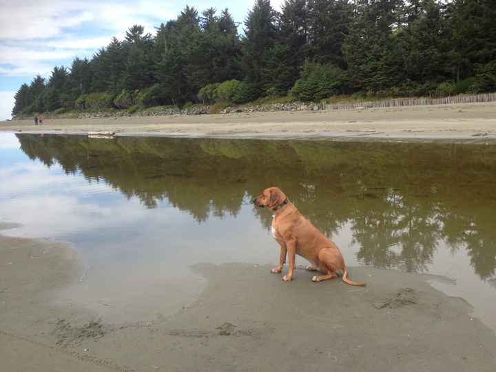 Show mee yourrr…..