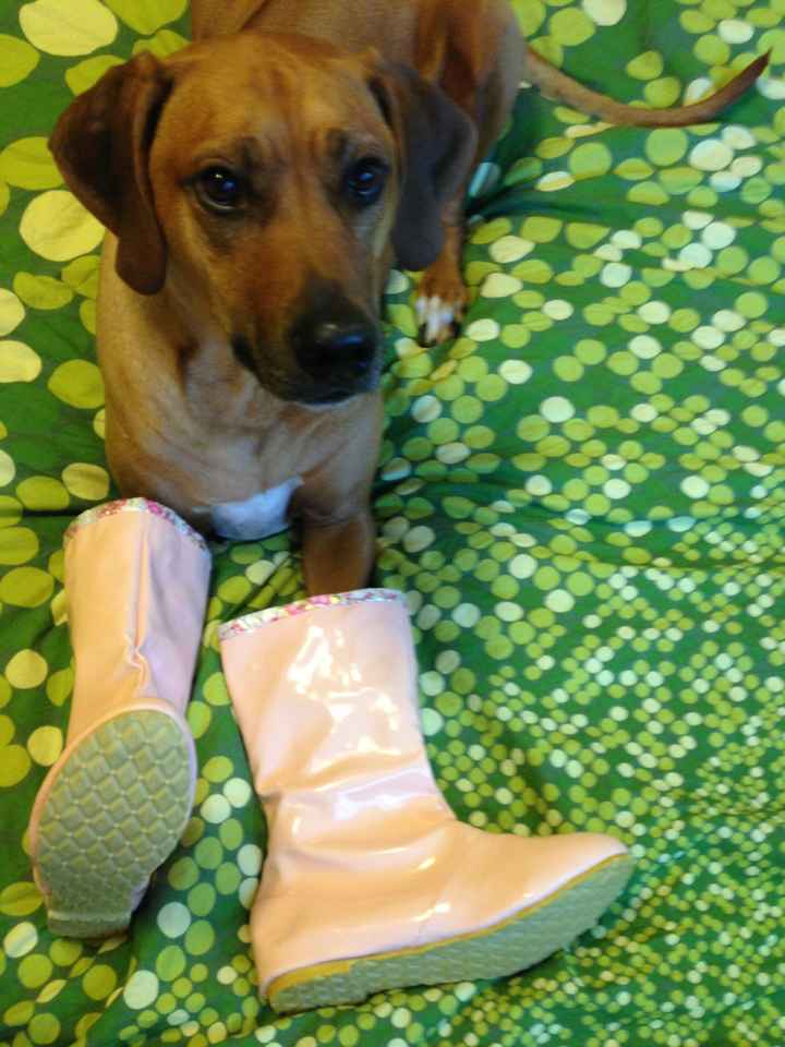 I can't get over these awful boots!!!! (Updated with more pics!)