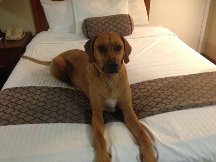 NWR.......FUR BABIES!!!!