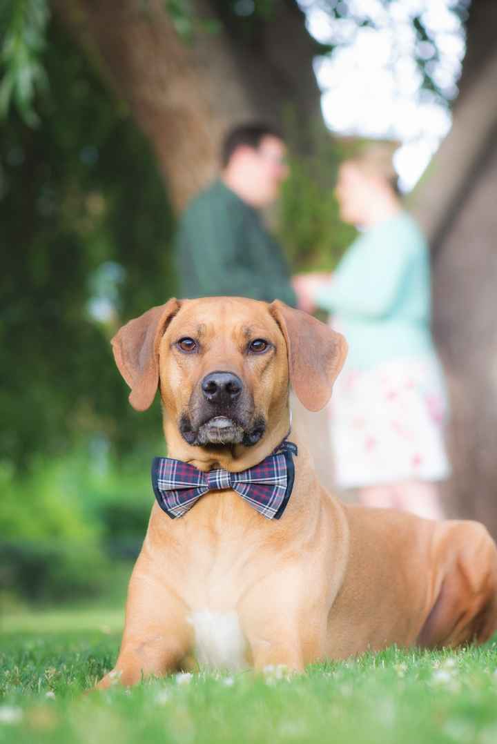 Anyone doing fun or custom stamps?