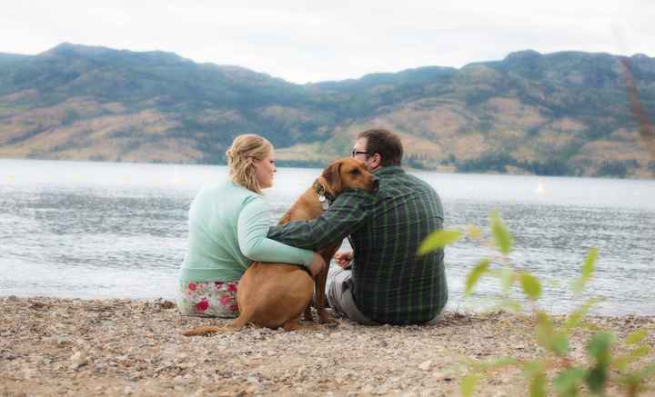 Show me... Your Favorite engagement photo shoot pictures!