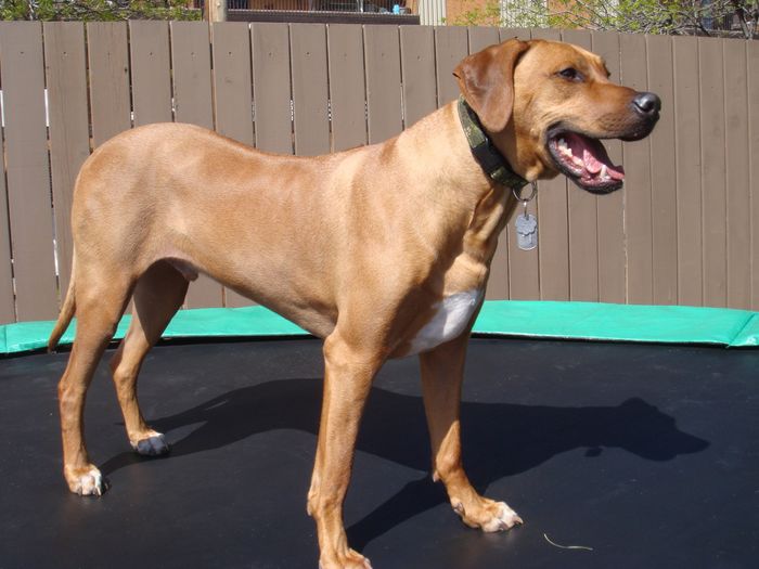 Show mee yourrr…..