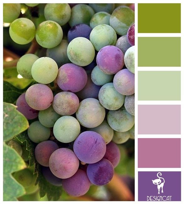 I need help with a color scheme...