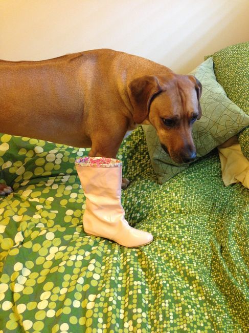 I can't get over these awful boots!!!! (Updated with more pics!)