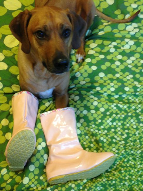 I can't get over these awful boots!!!! (Updated with more pics!)