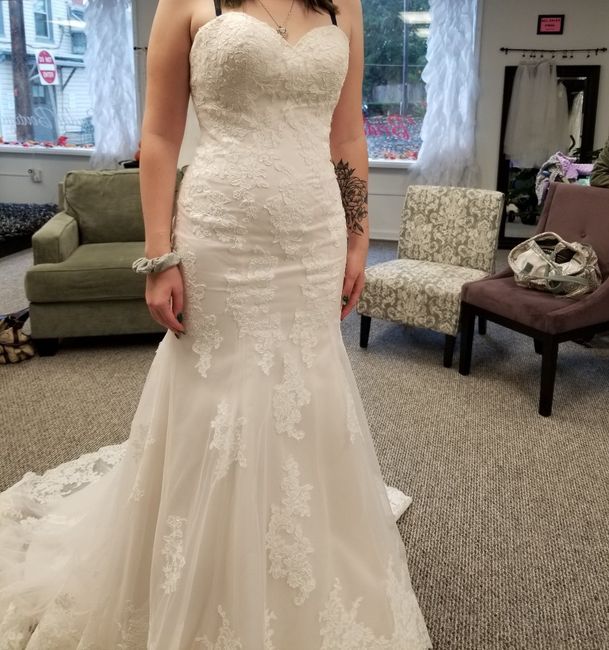 Dress Help! Please post your gowns!! 9