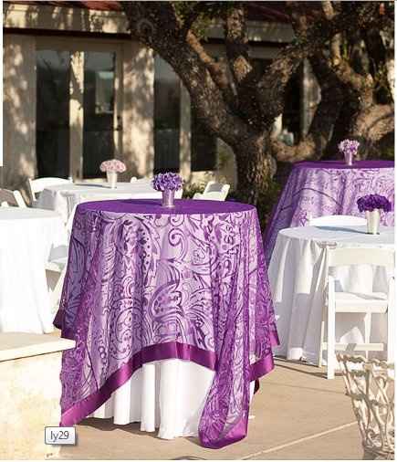 Tell me about your experience at Morton Arboretum please!!!