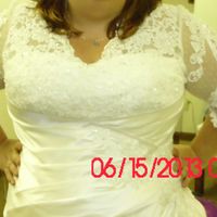 PLEASE SHARE YOUR DRESS PICS - Chicago Bride looking for Plus Size Wedding Dress will travel IL, WI,