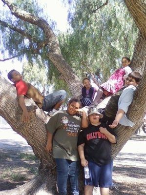 NWR: More Picture Fun
