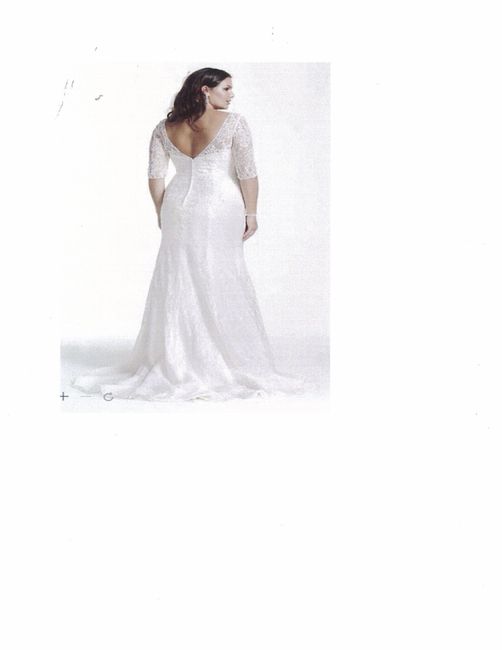 Have you said YES to the DRESS?