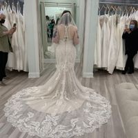 Just want to talk about my dress! - 2