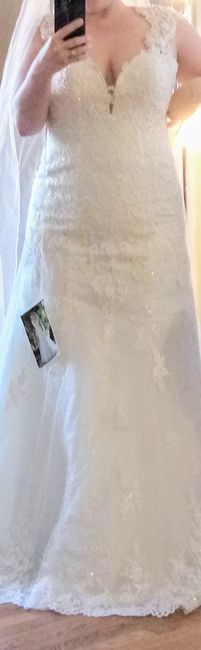 Show me your ball gown wedding dresses! 11