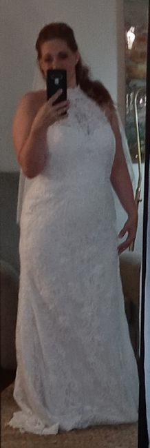 Finally... after all this time... The Dress. 1