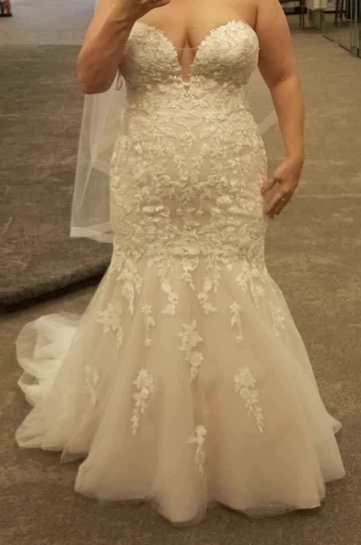 How many wedding dresses did you try on? 1