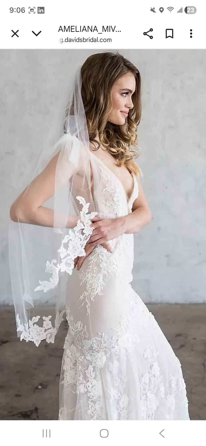 Veil suggestions - 1