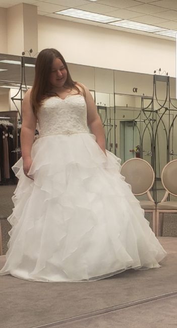 Wedding Dress Decision... help 2