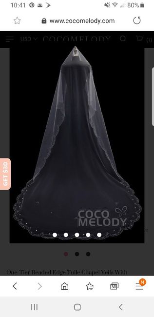 Thoughts on veil with dress 3