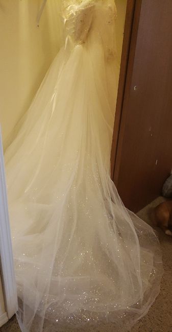 Veil for Wedding dress - 1