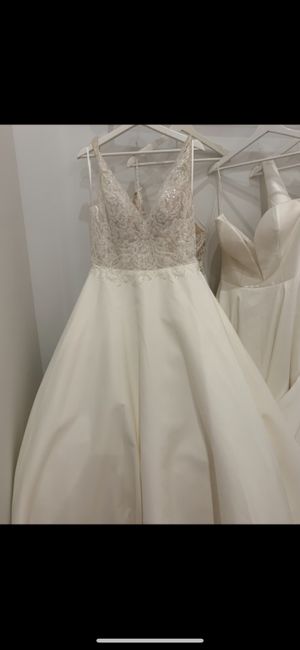 Wedding Dress Doubt - 3